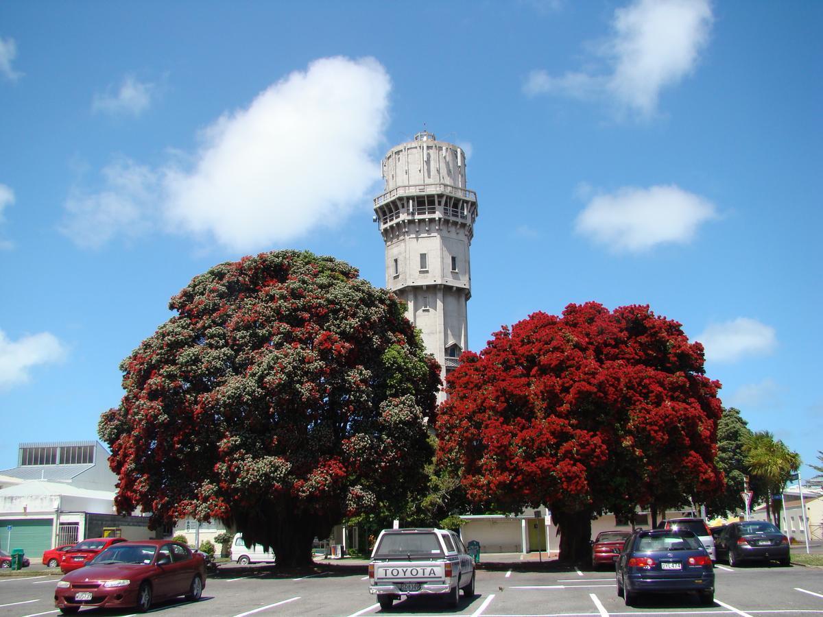 Kiwi Court Motel Hawera Ngoại thất bức ảnh